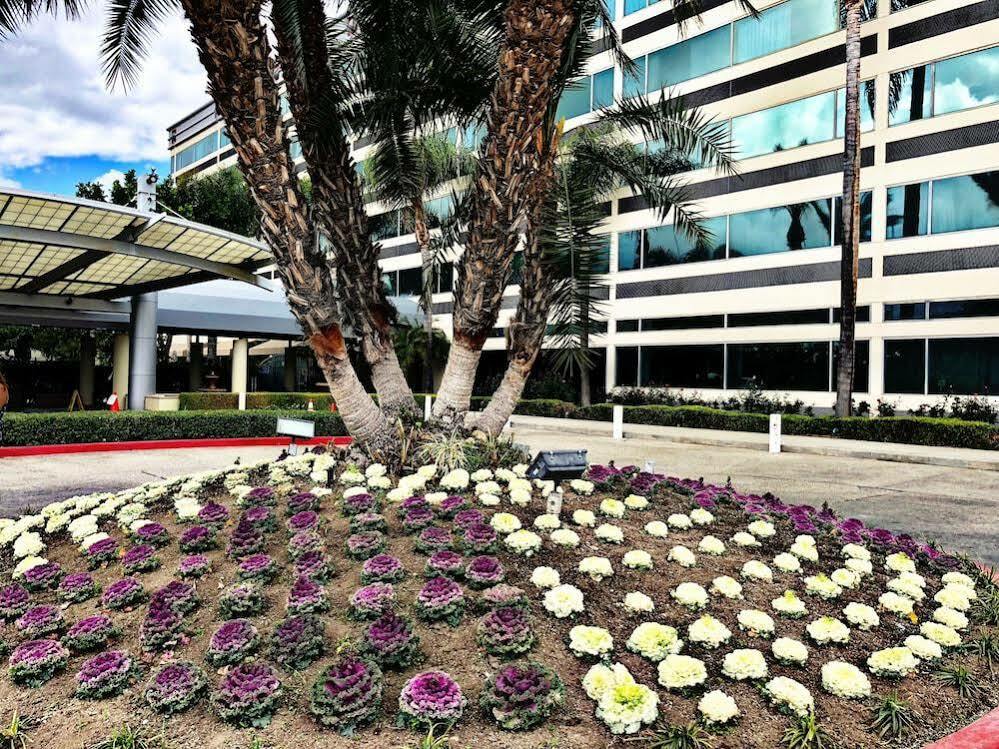 Sheraton Ontario Airport Hotel Экстерьер фото